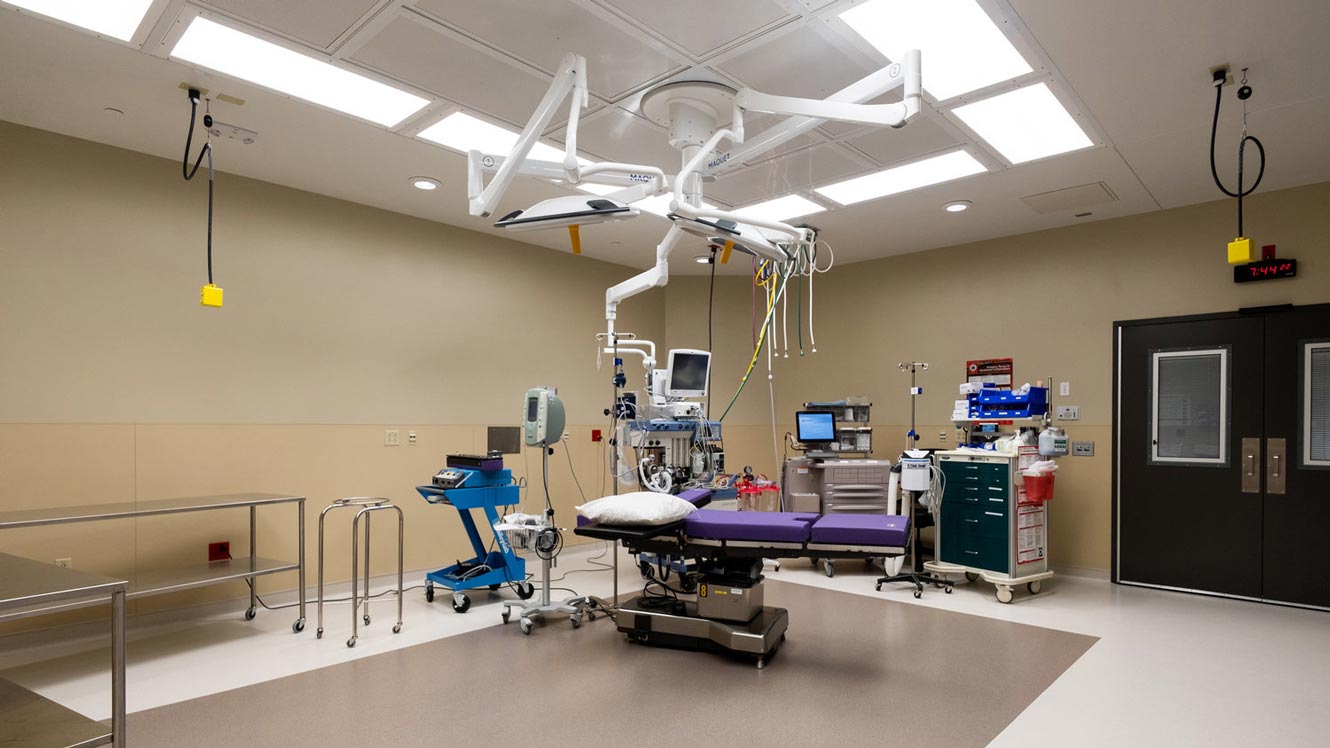 Super Clinic interior